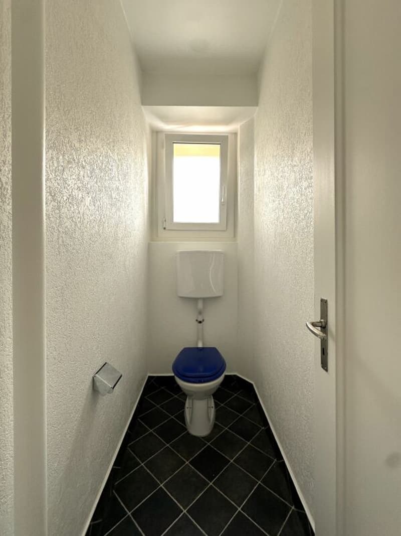 Bel appartement de 4 pièces (9)
