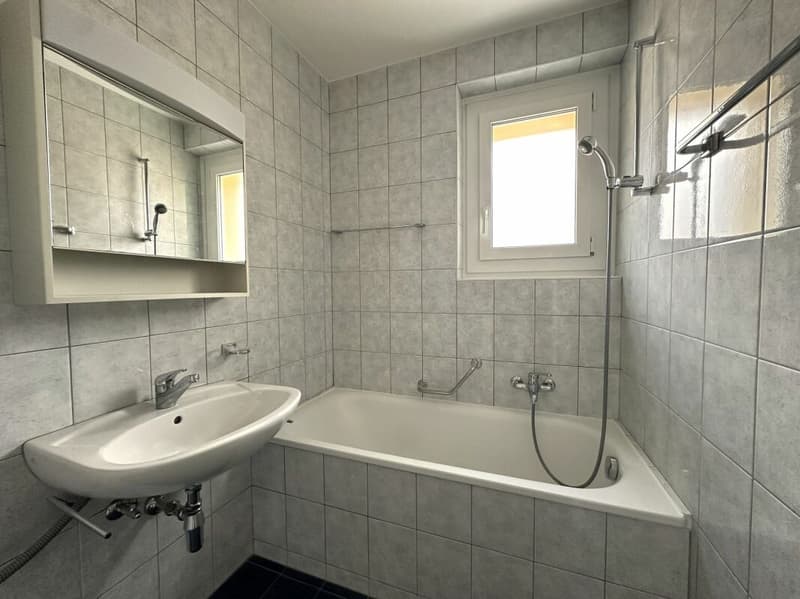 Bel appartement de 4 pièces (8)