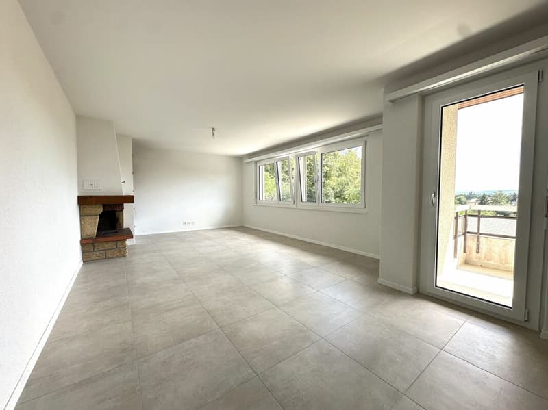 Très bel appartement de 4.5 pièces entièrement rénové ! (3)