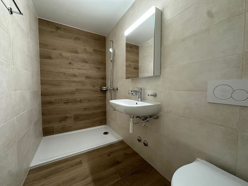 Très bel appartement de 4.5 pièces entièrement rénové ! (8)