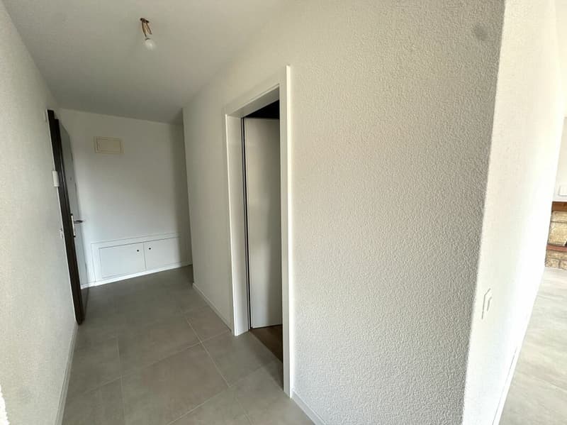 Très bel appartement de 4.5 pièces entièrement rénové ! (4)