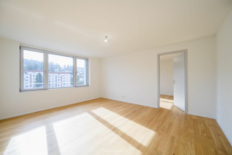 Très bel appartement de 2.5 pièces entièrement neuf (5)