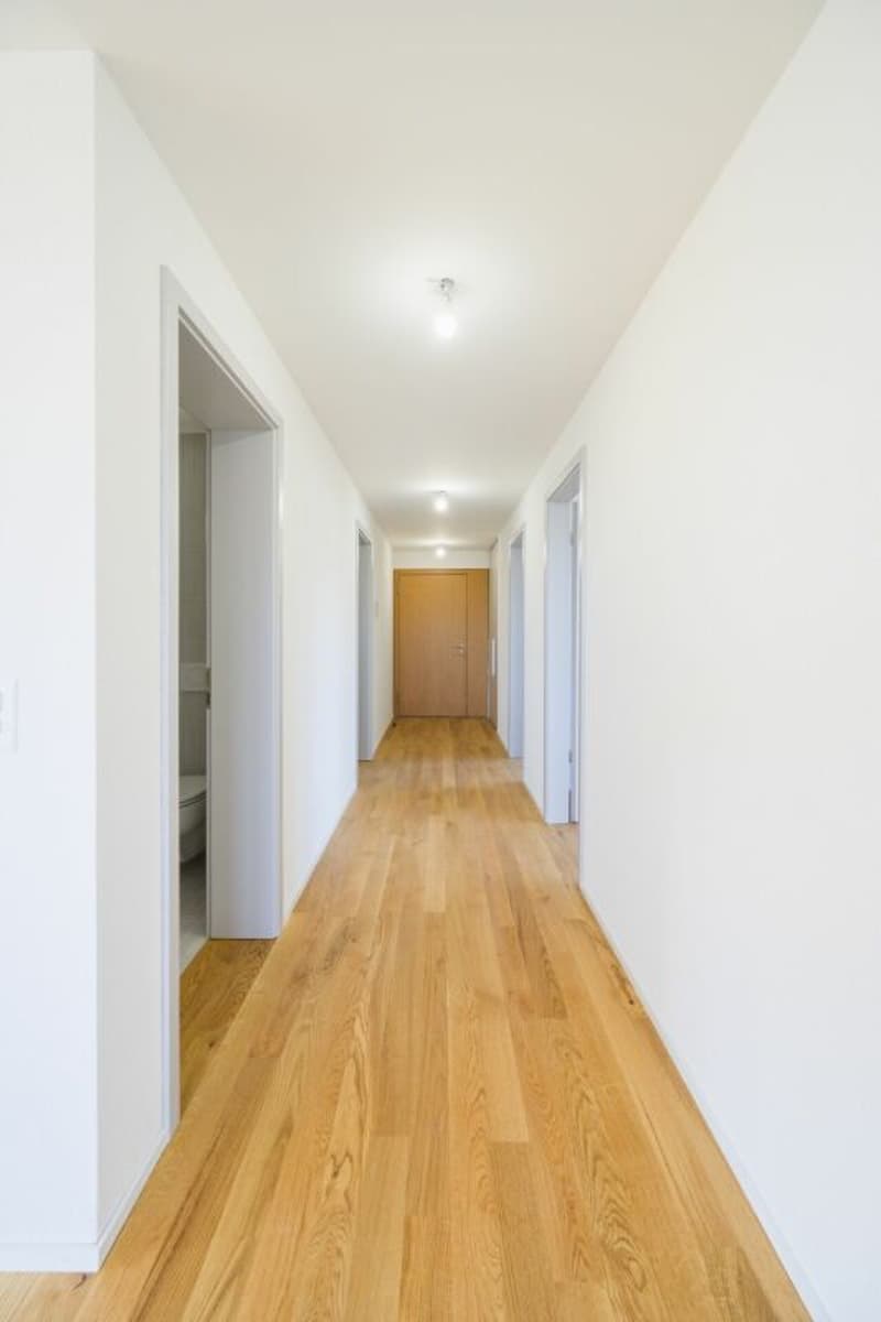 Très bel appartement de 3.5 pièces entièrement neuf avec balcon-loggia (4)