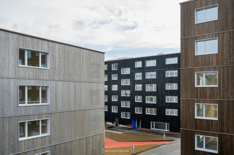 Très bel appartement de 3.5 pièces entièrement neuf avec balcon-loggia (8)