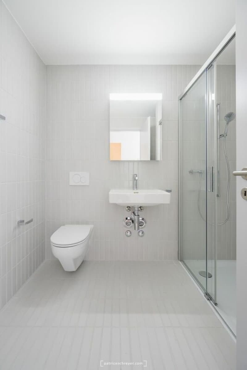 Très bel appartement de 2.5 pièces entièrement neuf (4)
