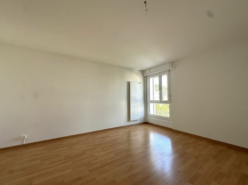 Bel appartement de 4.5 pièces dans quartier calme ! (5)