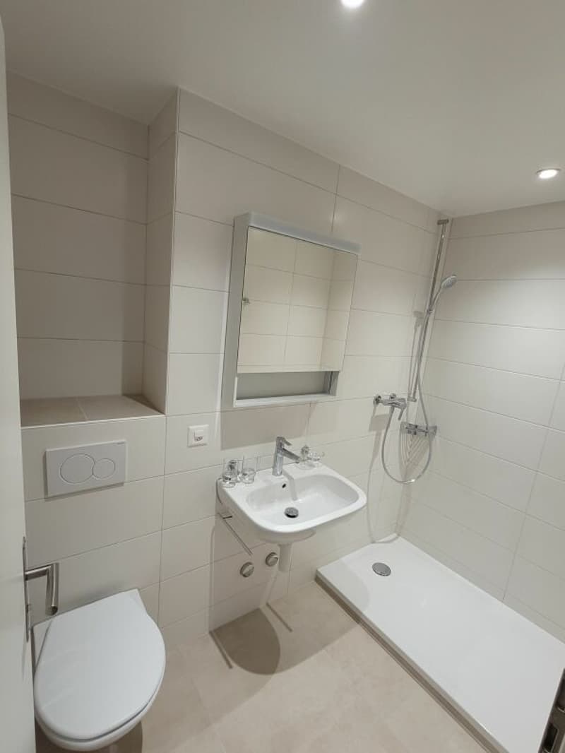 Appartement dernièrement rénové de 3 pièces avec balcon ! (7)