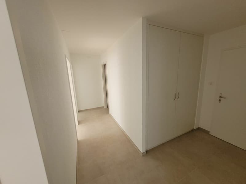 Appartement dernièrement rénové de 3 pièces avec balcon ! (3)