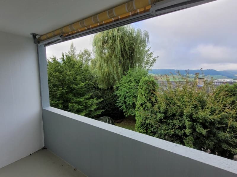 Appartement dernièrement rénové de 3 pièces avec balcon ! (8)