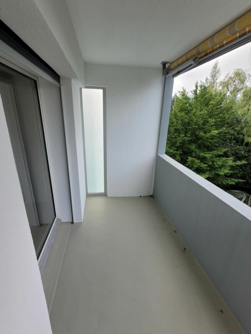 Appartement dernièrement rénové de 3 pièces avec balcon ! (9)