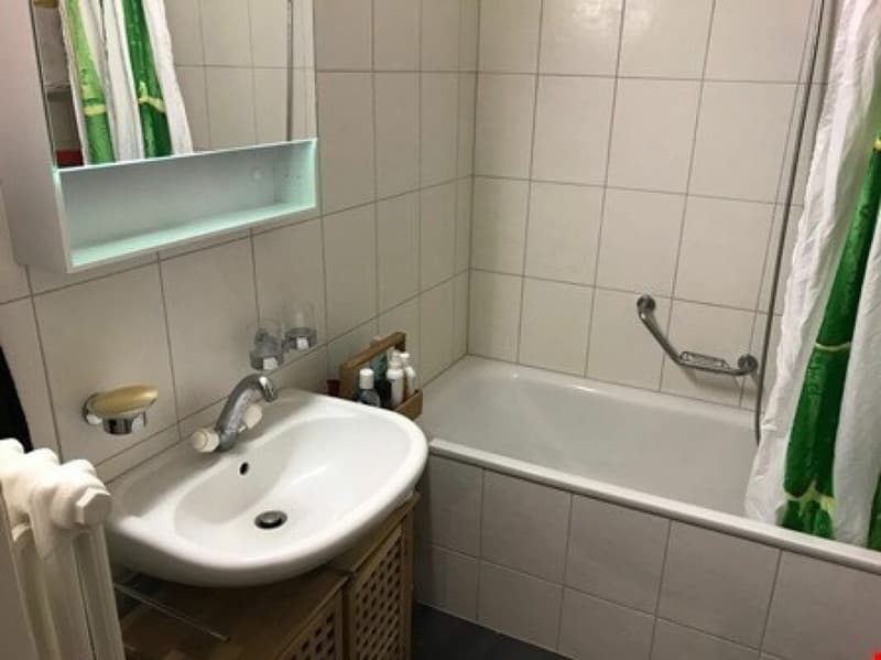 Charmant 2 pièces dans quartier calme (6)