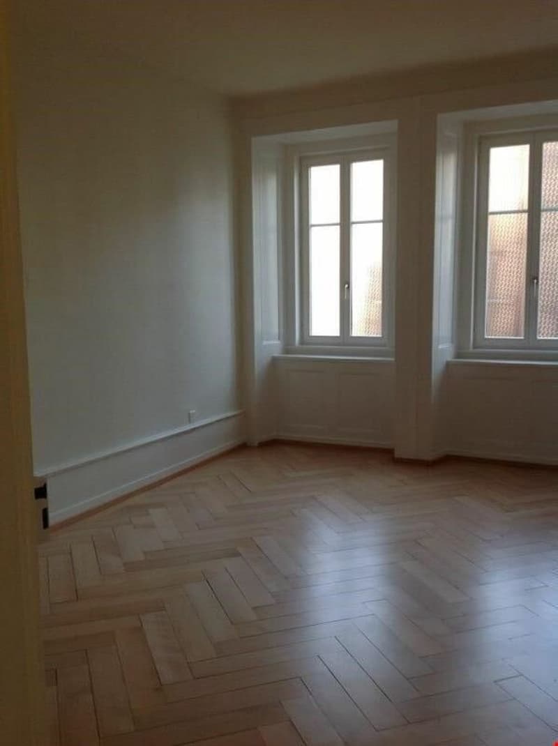 Charmant 2 pièces dans quartier calme (3)