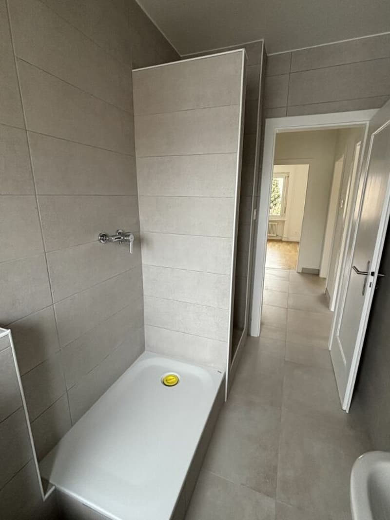 Appartement de 3 pièces entièrement rénové avec balcon (6)