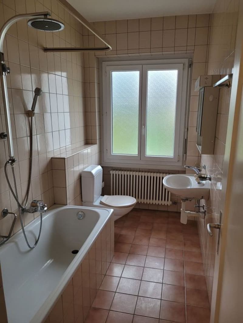 Appartement de 3 pièces avec balcon (5)