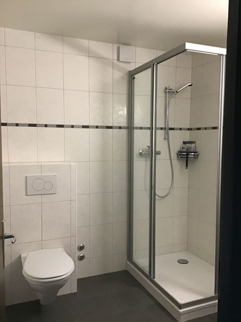 Appartement de 2 pièces avec balcon ! (4)