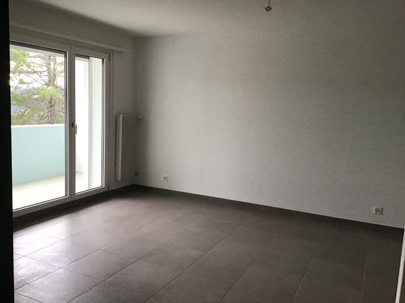 Appartement de 2 pièces avec balcon ! (5)