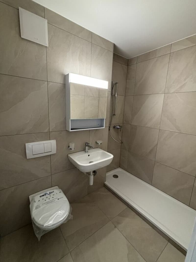 Petit appartement rénové au centre ville (6)