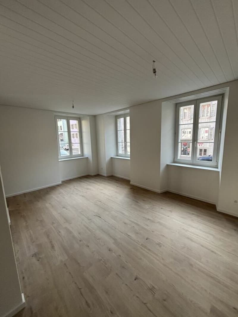 Petit appartement rénové au centre ville (1)
