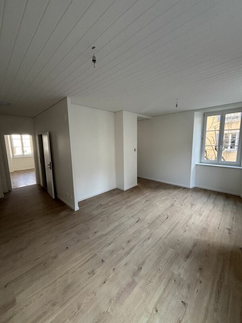 Petit appartement rénové au centre ville (3)