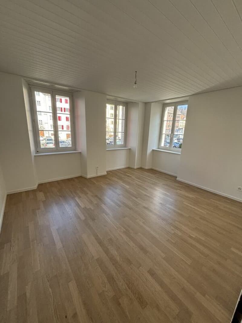 Petit appartement rénové au centre ville (5)
