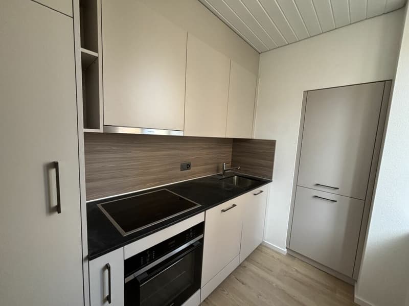 Petit appartement rénové au centre ville (4)