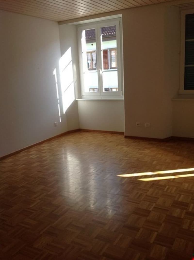Appartement spacieux au centre ville (3)