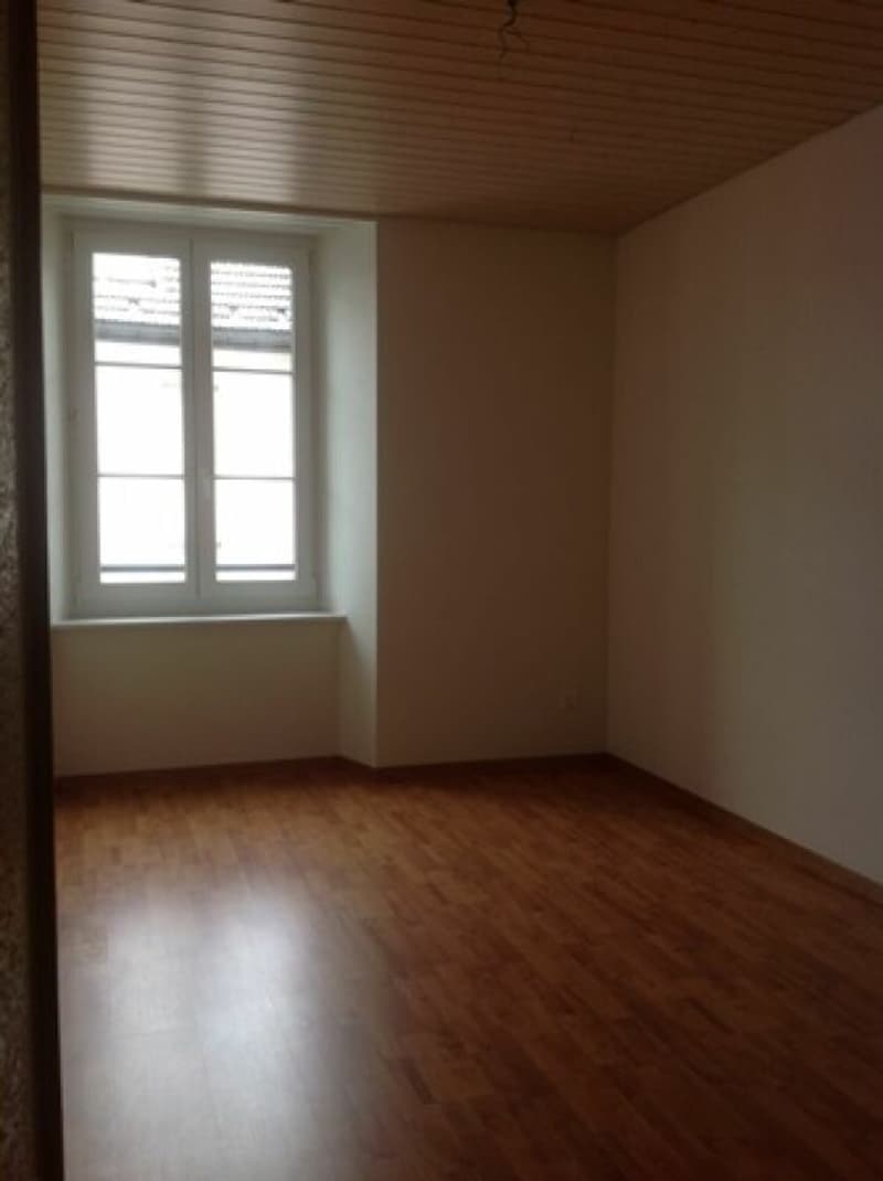 Appartement spacieux au centre ville (4)