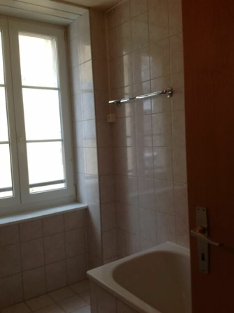 Appartement spacieux au centre ville (5)