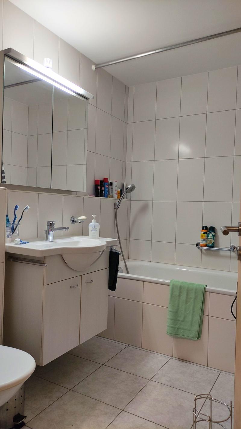 Moderne 3.5-Zimmer-Wohnung mit Bergpanorama in Glis (8)
