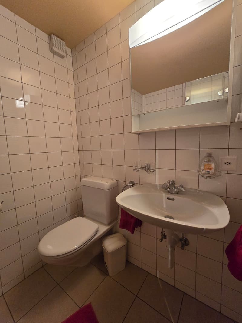 4.5 Zimmerwohnung in Grächen im Chalet Orion (19)
