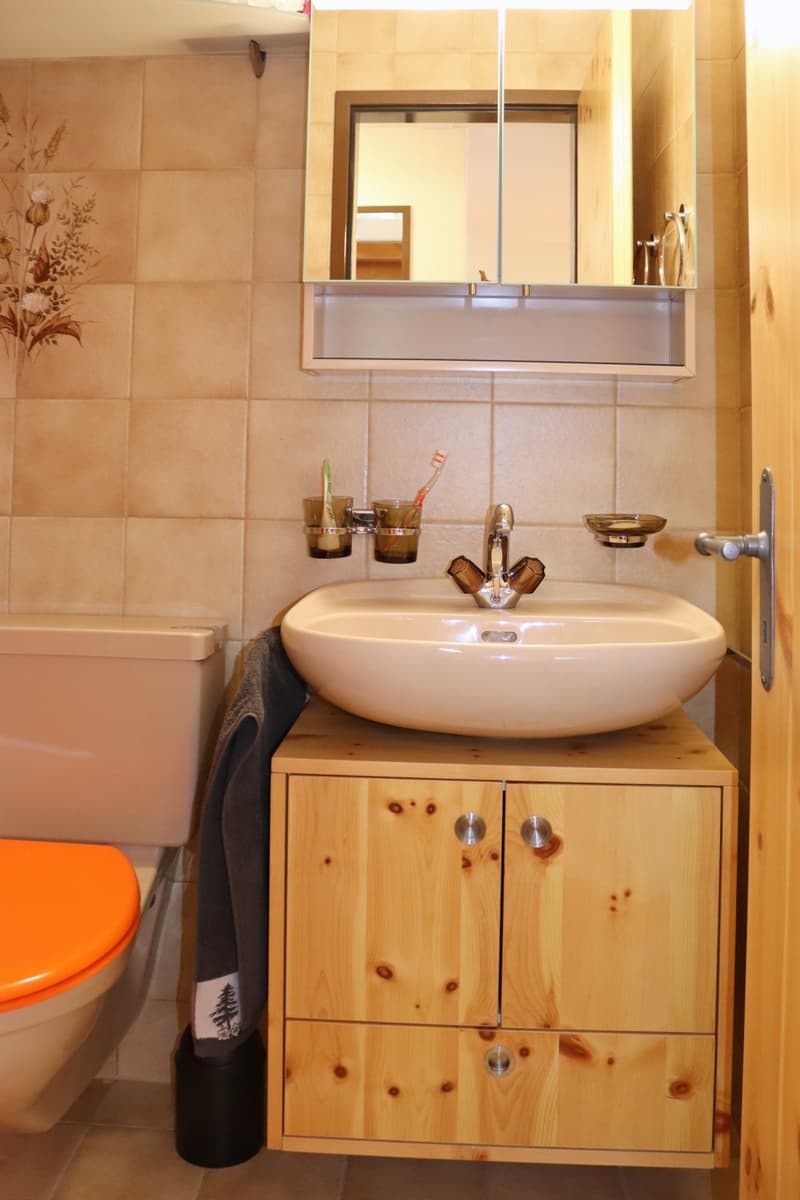 Charmante 2.5-Zimmer-Wohnung in Zermatt – Möbliert & Sofort Verfügbar (6)