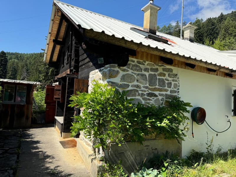 Chalet de caractère à Plan-Cernet – 4.5 pièces avec terrain (8)