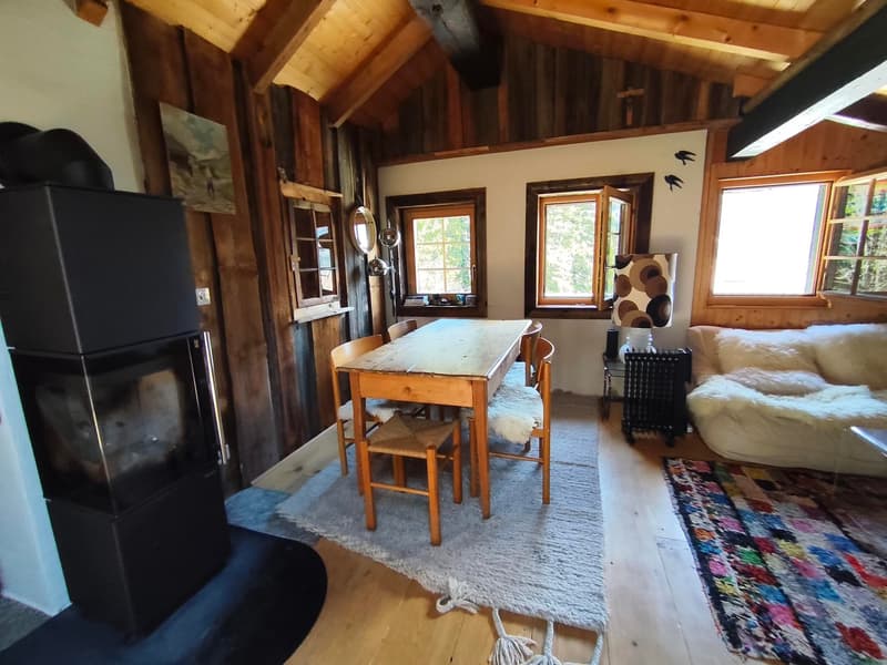 Chalet de caractère à Plan-Cernet – 4.5 pièces avec terrain (18)