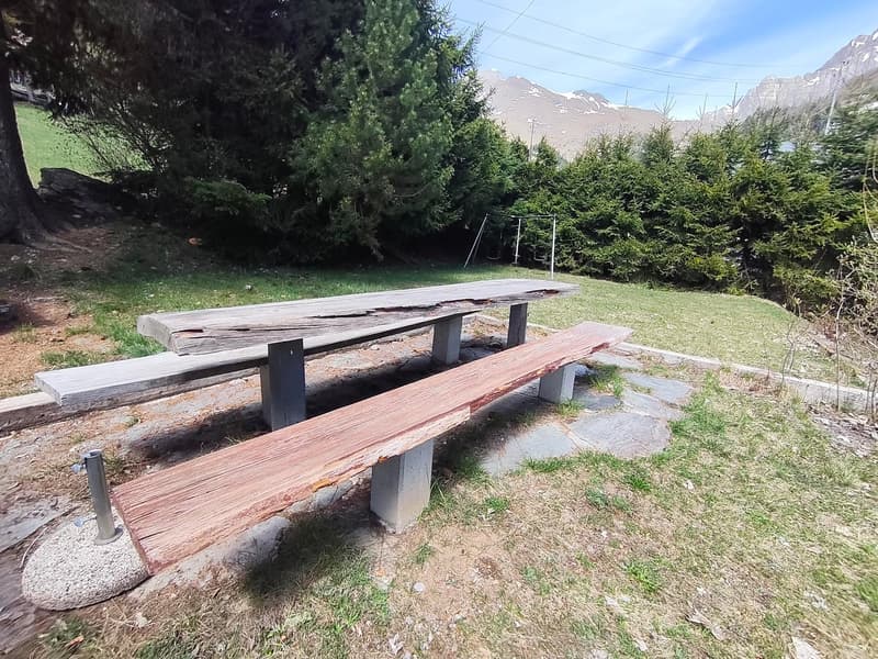 Chalet de caractère à Plan-Cernet – 4.5 pièces avec terrain (25)