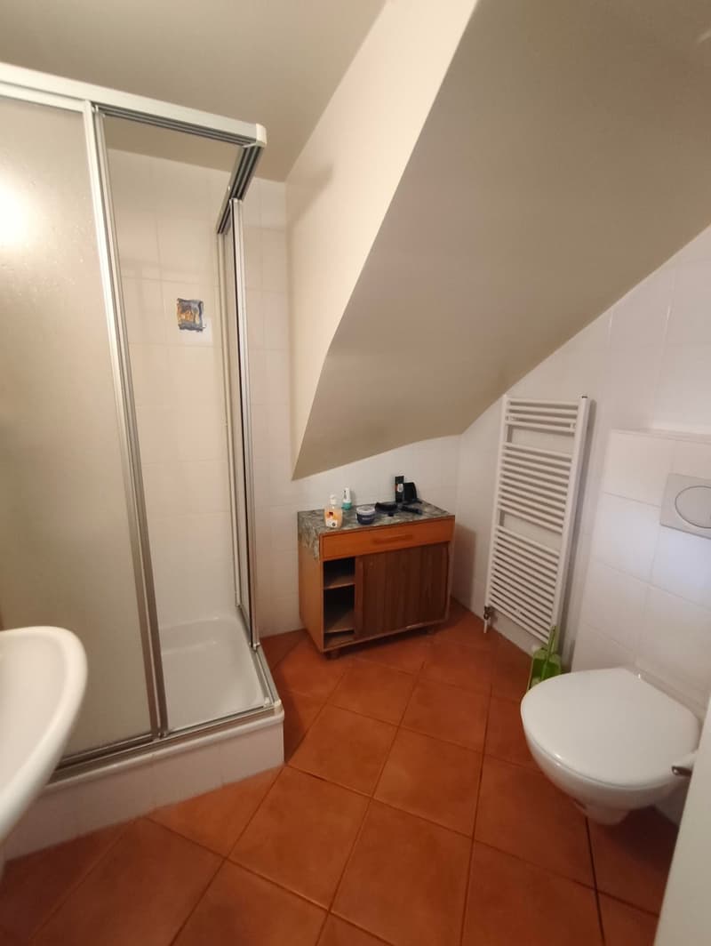 Villa de caractère à Saint-Maurice – 5.5 pièces avec vue et grand terrain (19)