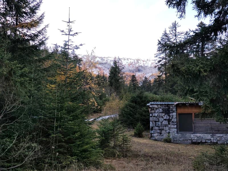 Chalet de 3.5 pièces à vendre à Conthey – Charme alpin (11)