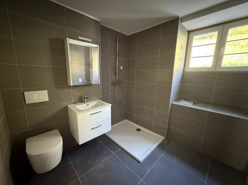 Sonvilier, appartement de 2.5 pièces au 1er étage - NEUF (5)