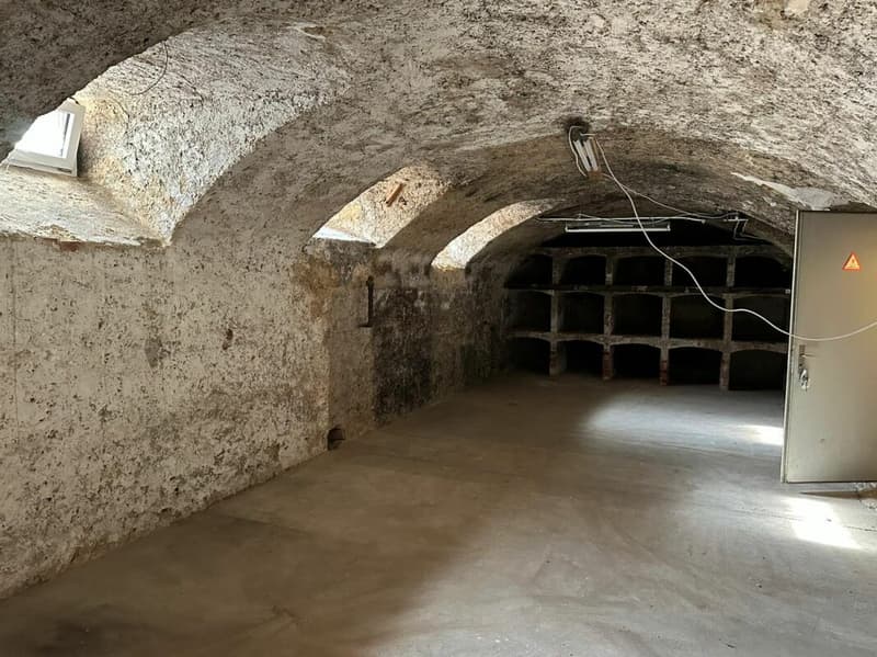 St-Imier, grande cave voutée (3)