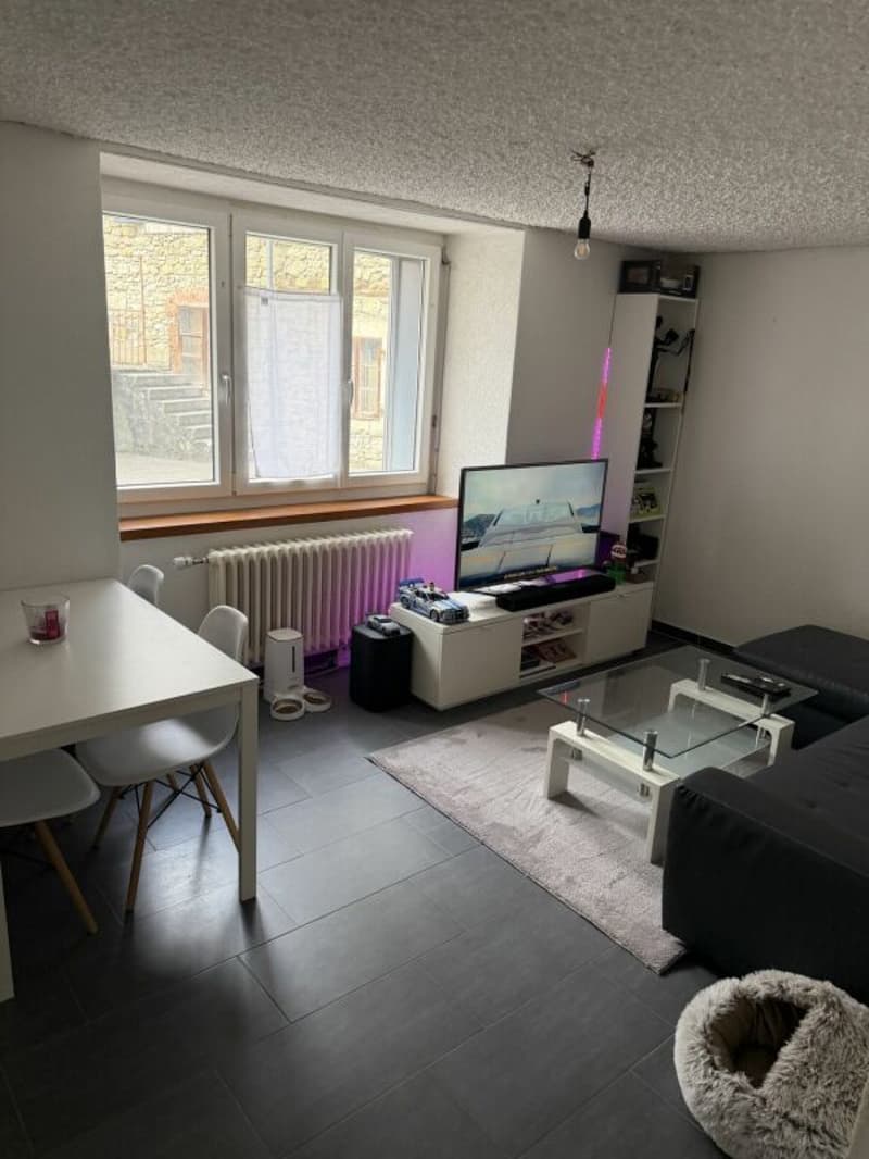 St-Imier, magnifique appartement de 3 pièces au rez -de-chaussée (2)