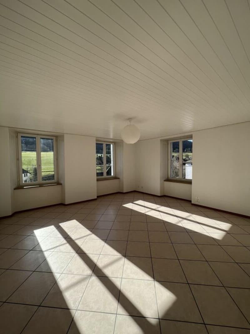 Sonvilier, bel appartement de 3,5 pièces au 2ème étage avec cuisine moderne (4)