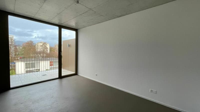 Nidau, splendide duplex haut standing 5.5 pces - 205 m2 avec parking et jardin commun (8)