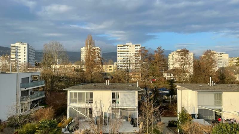 Nidau, splendide duplex haut standing 5.5 pces - 205 m2 avec parking et jardin commun (7)