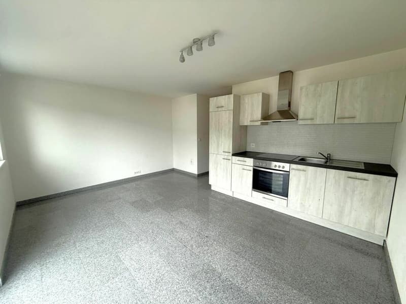 St-Imier, joli appartement 2.5 pièces avec terrasse, garage, jardin (2)