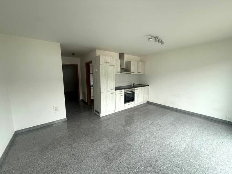 St-Imier, joli appartement 2.5 pièces avec terrasse, garage, jardin (3)