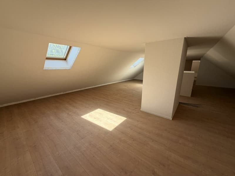 Sonvilier, splendide appartement 5.5 pièces au 4ème étage - NEUF (16)