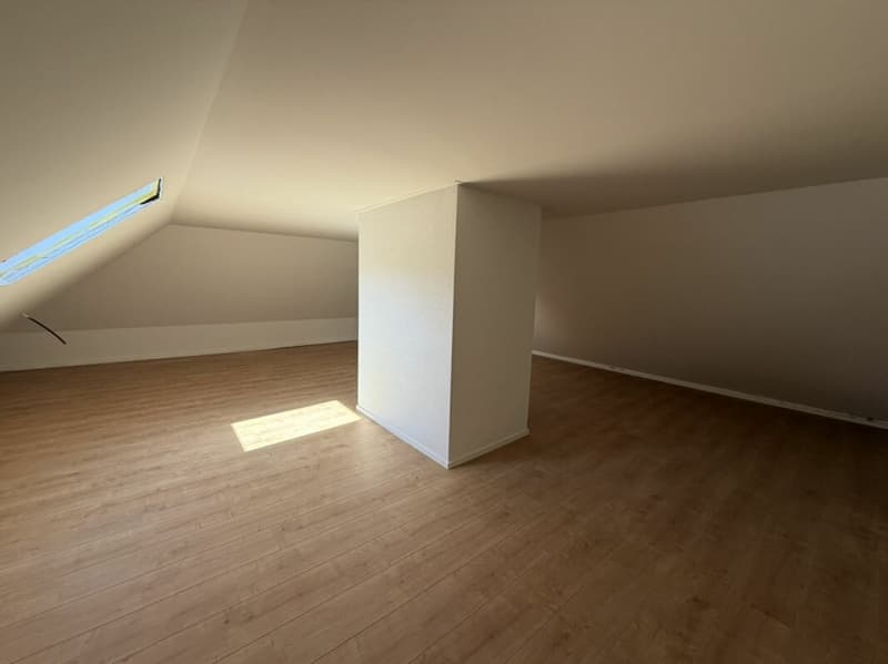 Sonvilier, splendide appartement 5.5 pièces au 4ème étage - NEUF (15)