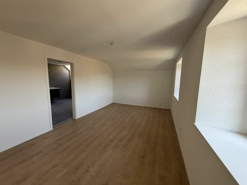 Sonvilier, splendide appartement 5.5 pièces au 4ème étage - NEUF (11)