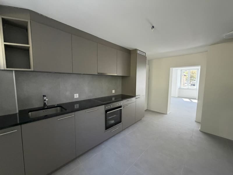 Sonvilier, magnifique appartement de 3 pièces entièrement NEUF (1)