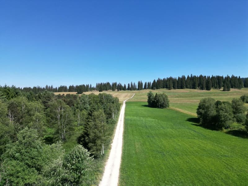 Le Cerneux-Péquignot, chalet de loisirs dans avec forêt - 2000m2 (8)