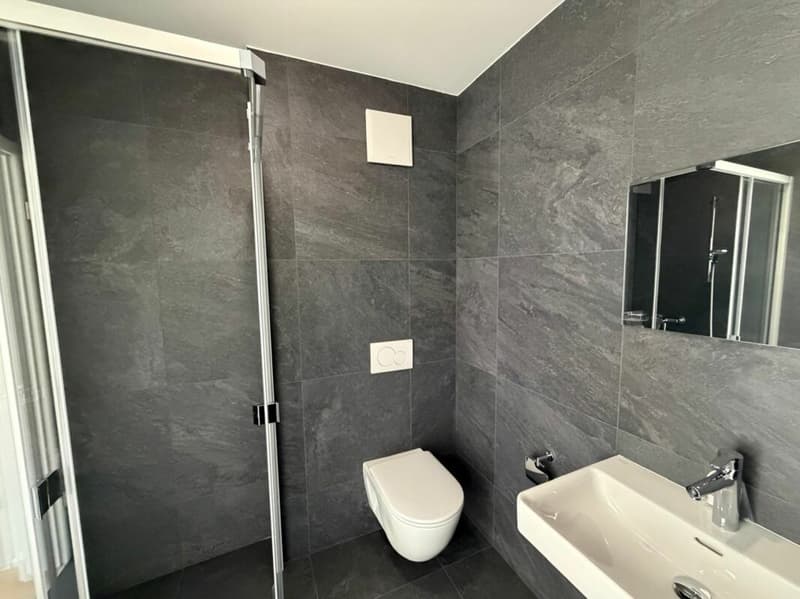 Villeret, splendide appartement de 4.5 pièces avec terrasse et jardin privatif (8)